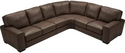 Lovington Leather Sectional IV