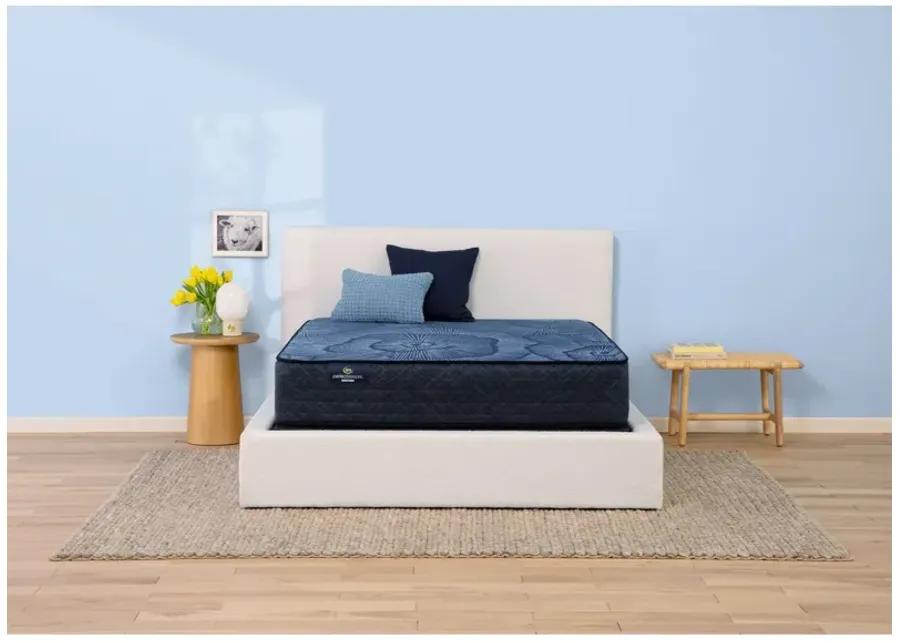 Queen Delani Dreams Medium Perfect Sleeper Mattress