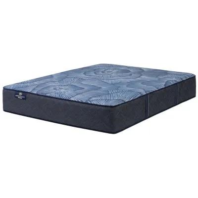 King Delani Dreams Medium Perfect Sleeper Mattress