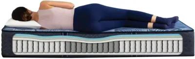 Full Delani Dreams Firm Perfect Sleeper Mattress