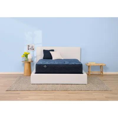 King Delani Dreams Firm Perfect Sleeper Mattress