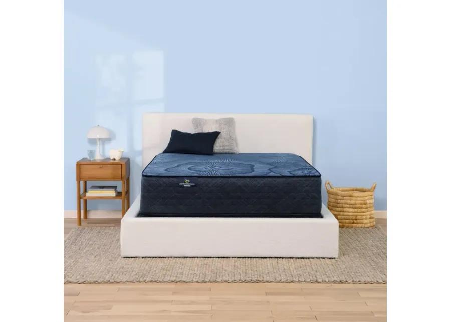 Full Ellaville Nights Plush Hybrid Mattress