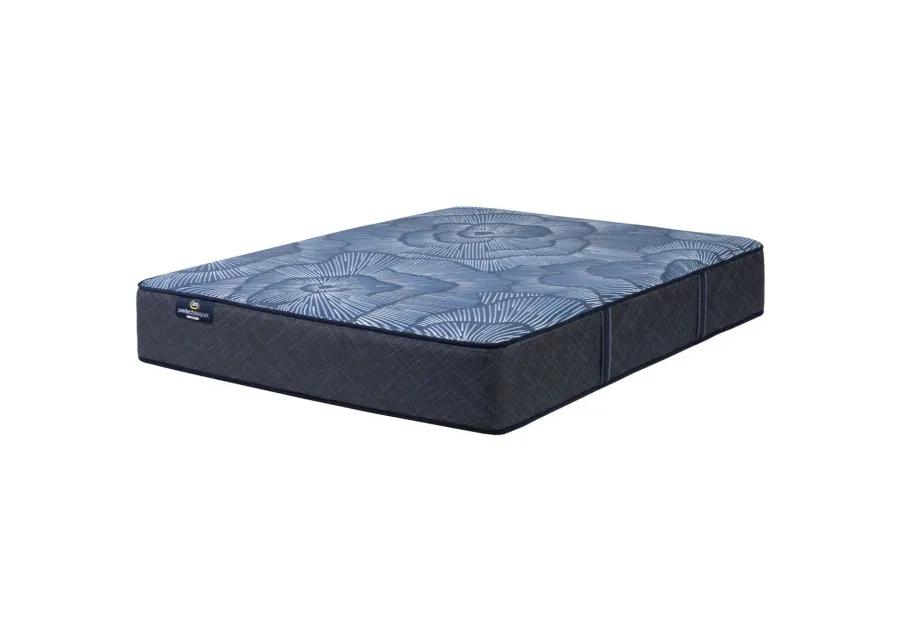 Full Ellaville Nights Plush Hybrid Mattress