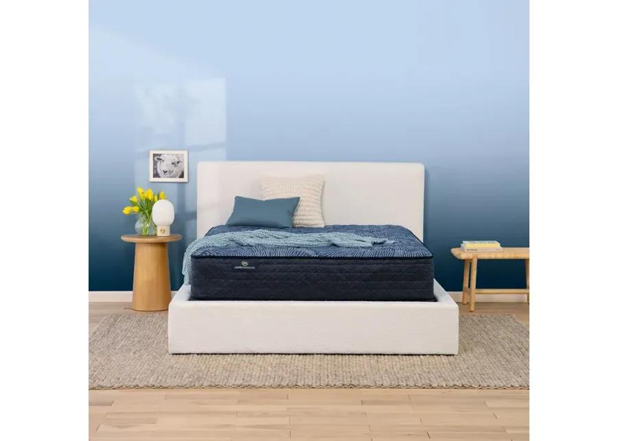 King Chattahoochee Extra Firm Perfect Sleeper Mattress