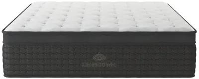 Twin XL Cresthaven Plush Euro-Top Mattress