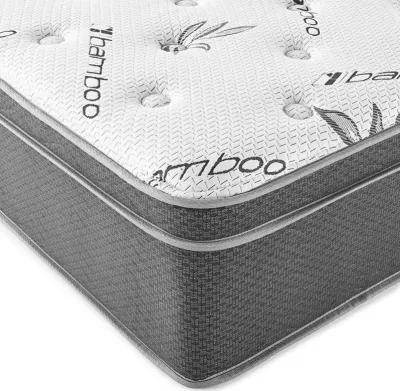 Queen Bamboo Euro Top Mattress