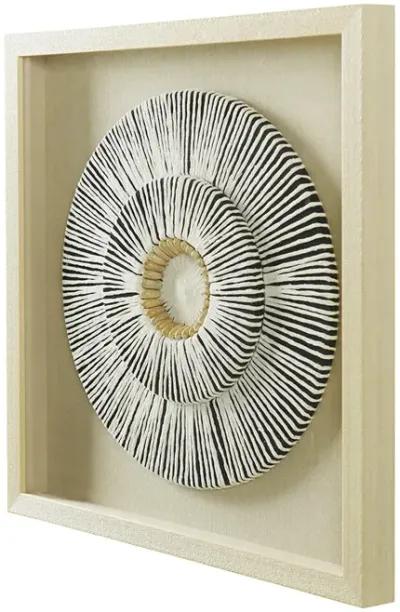 Paper Shell Disk Shadow Box