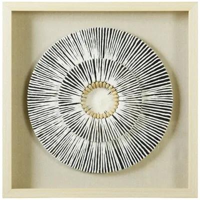 Paper Shell Disk Shadow Box