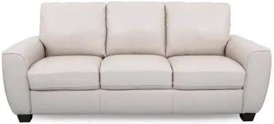 Light Grey Evan Leather Sofa and Loveseat