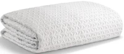 Ver-Tex Queen Mattress Protector 