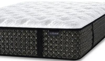 Streamline Plush M1 Queen Mattress