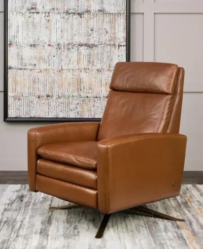 Simon Push Arm Recliner