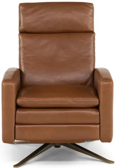 Simon Push Arm Recliner