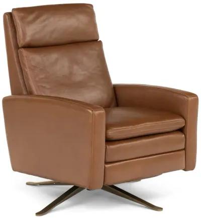 Simon Push Arm Recliner