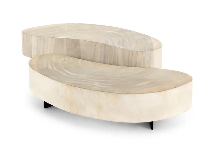 Avett Short Coffee Table