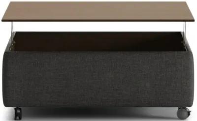 Functional Lift-top Storage Ottoman