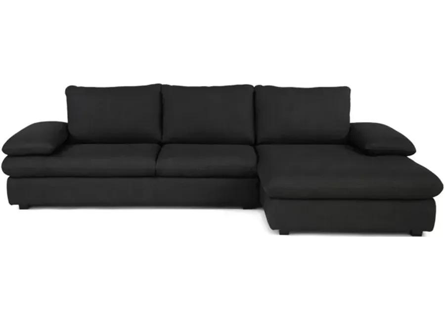 America 2 Piece Sectional