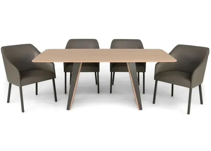 TIMESLESS 5 PIECE DINING SET