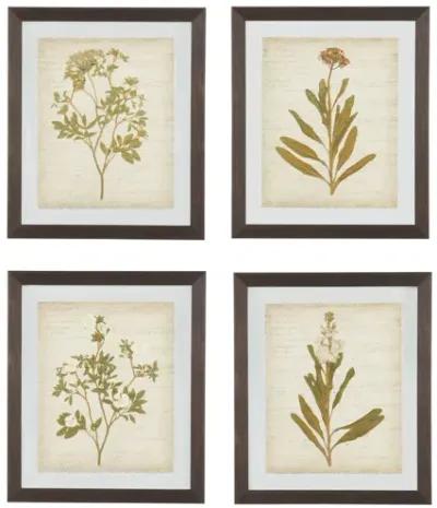 Dyani Wall Art Set of 4 by Ashley