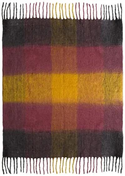 Afrino Wool Colored Throw