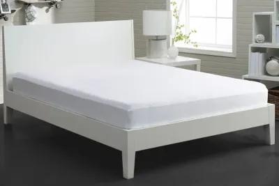 iProtect Queen Mattress Protector by Bedgear