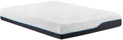 Renovo Elevate Memory Foam Twin 10" Mattress