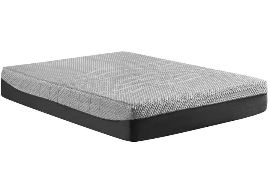 Renovo Dynamic 12" Memory Foam Soft Full Mattress