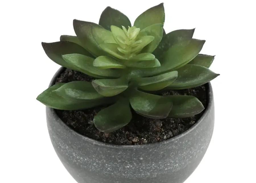 Set of 3 Faux Succulents in Pots