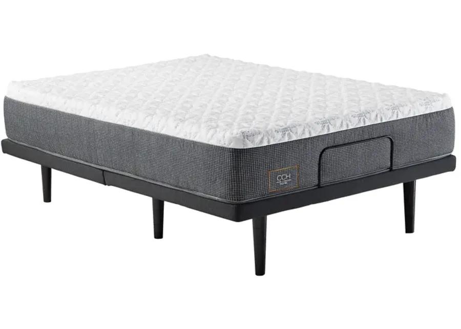 Cindy Crawford Home Allure Medium Twin Mattress