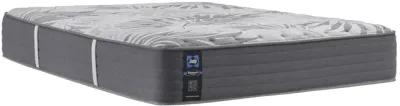 Sealy Posturepedic Plus Testimony Medium Full 13" Mattress