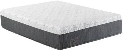 Cindy Crawford Home Destiny Ultra Plush Twin XL 14" Mattress