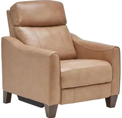 Damon Brown Leather Dual Power Recliner