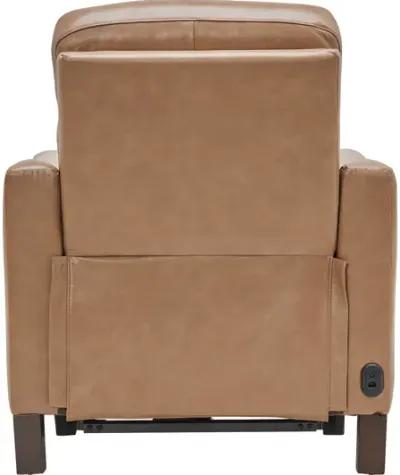 Damon Brown Leather Dual Power Recliner