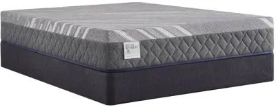 Sealy Miami Firm Hybrid Twin 10" Mattress