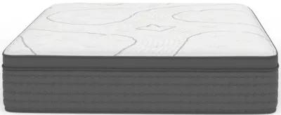 King Koil Lansing Plush Pillowtop Innerspring King 13.5" Mattress