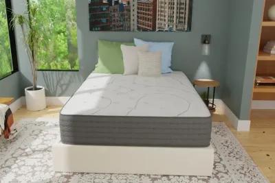 King Koil Lansing Plush Innerspring King 13" Mattress