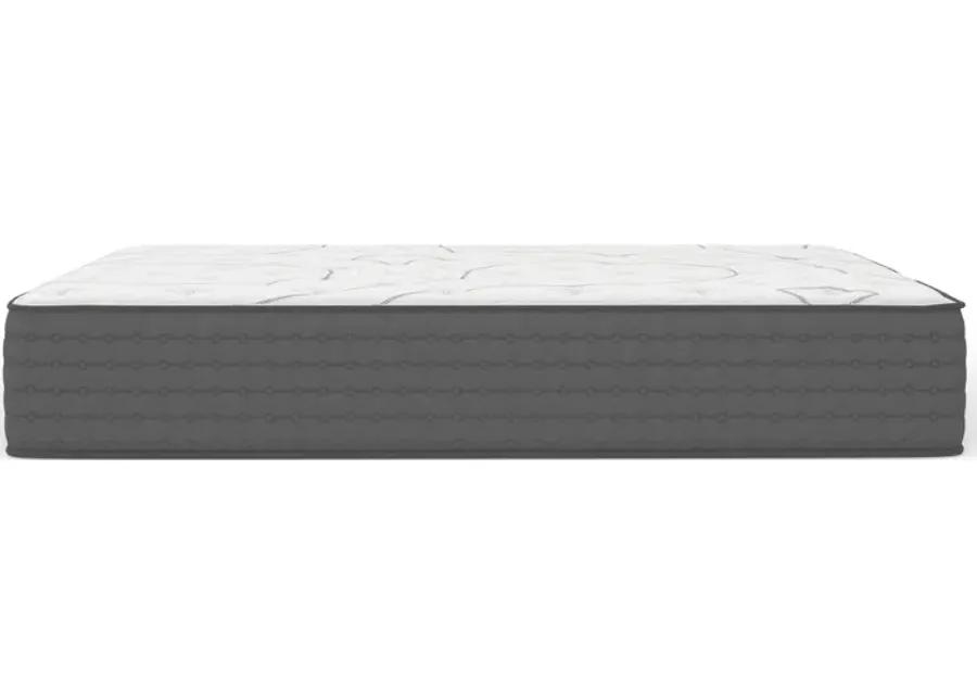 King Koil Lansing Firm Queen Mattress