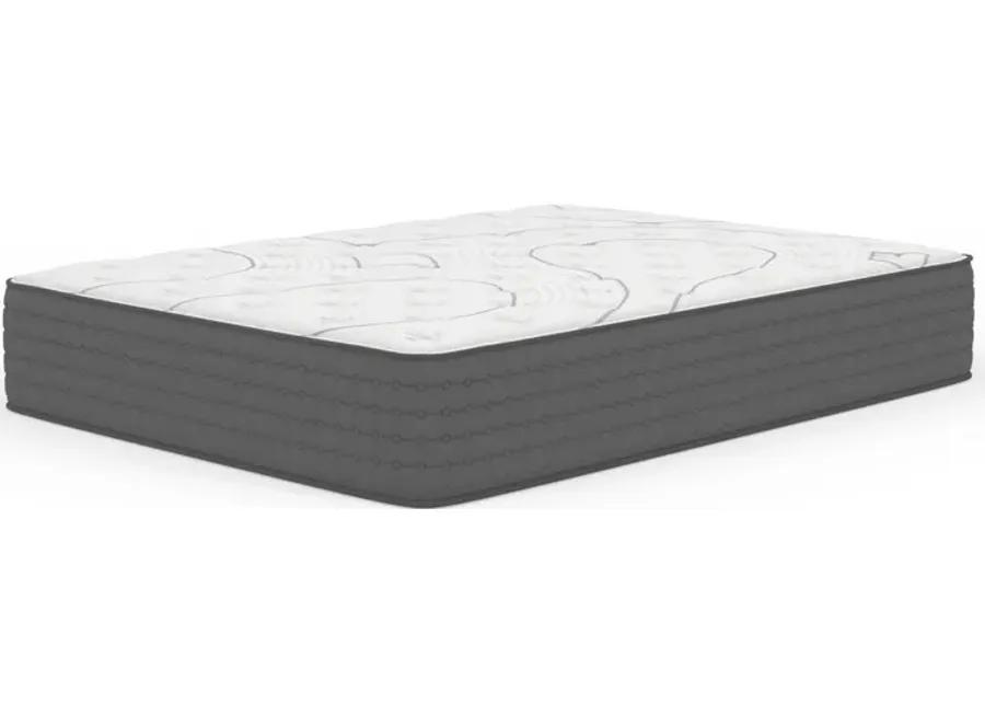 King Koil Lansing Firm Queen Mattress