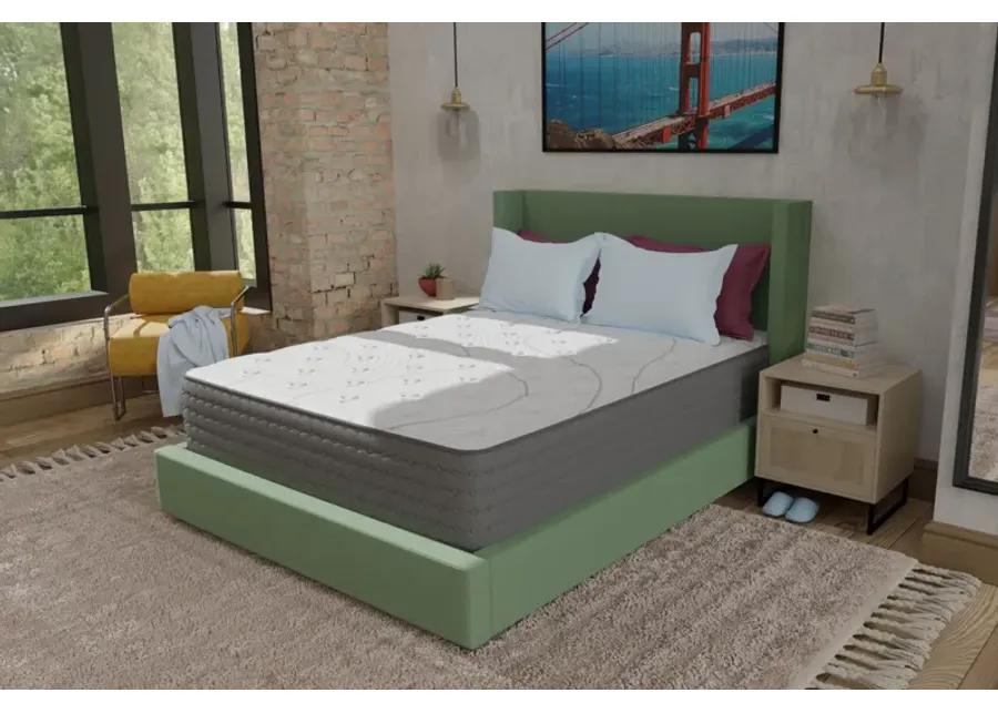 King Koil Lansing Firm Queen Mattress