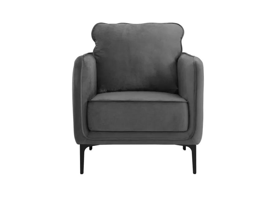 Rae Chair in Lavish Grey Velvet