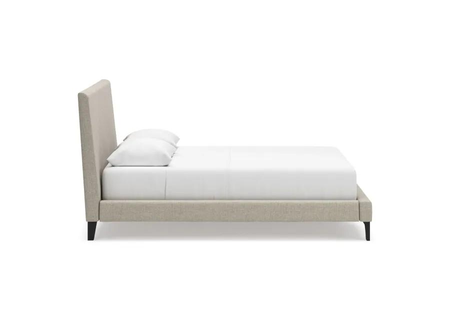 Cielden Full Upholstered  Bed w/Roll Slats