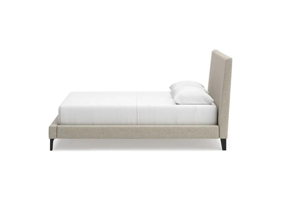 Cielden Full Upholstered  Bed w/Roll Slats