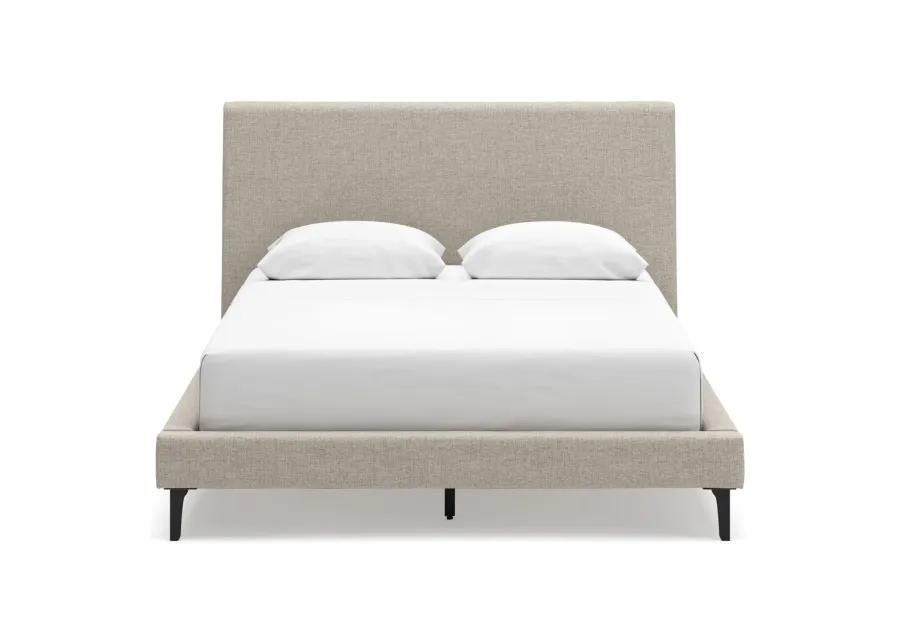 Cielden Full Upholstered  Bed w/Roll Slats