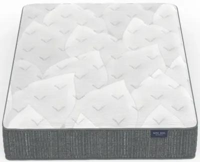 King Koil Grayson Plush Memory Foam Twin 14.5" Mattress