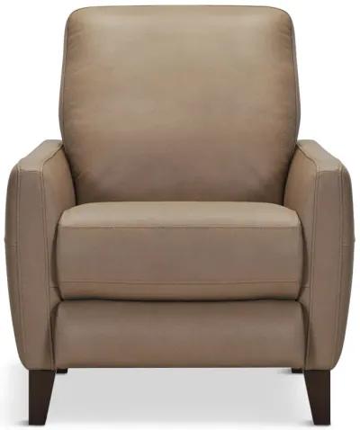 Trifle Leather Push Back Recliner - Stone