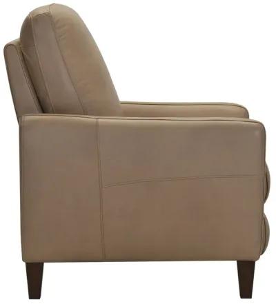 Trifle Leather Push Back Recliner - Stone