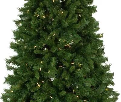 Watervile Pine 7.5  Artificial Christmas Tree w Warm White LED Lights