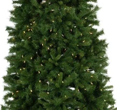 Waterville Pine 9  Artificial Christmas Tree with 700 Warm White LED Lights