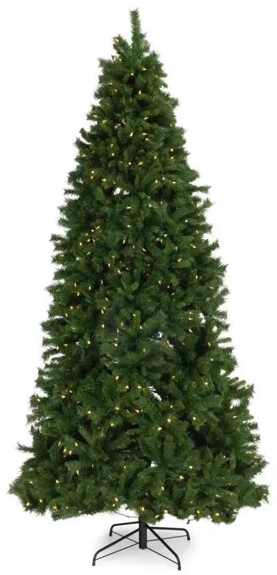 Waterville Pine 9  Artificial Christmas Tree with 700 Warm White LED Lights