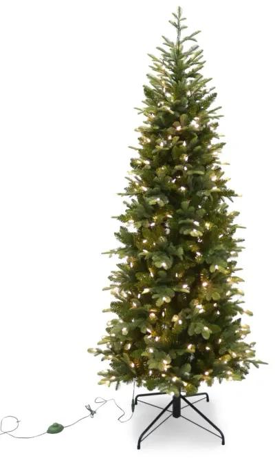 Canaan Fir 6.5  Slim Artificial Christmas Tree with LED Multi Function Lights